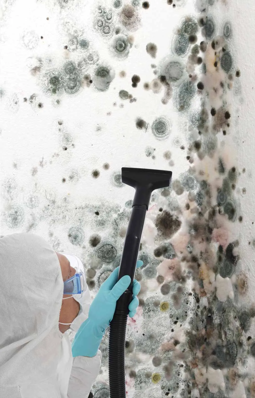 Mold Removal in Wolcott by JP Maguire Associates in Connecticut