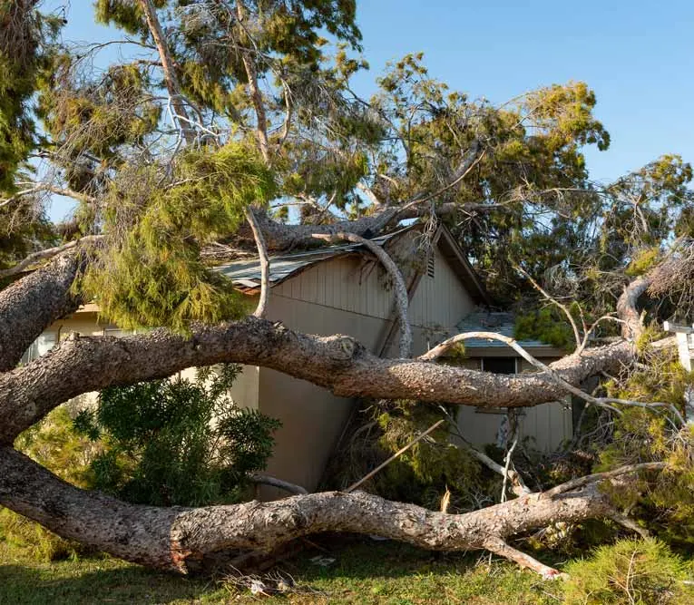 Storm damage restoration work by JP Maguire Associates in Connecticut