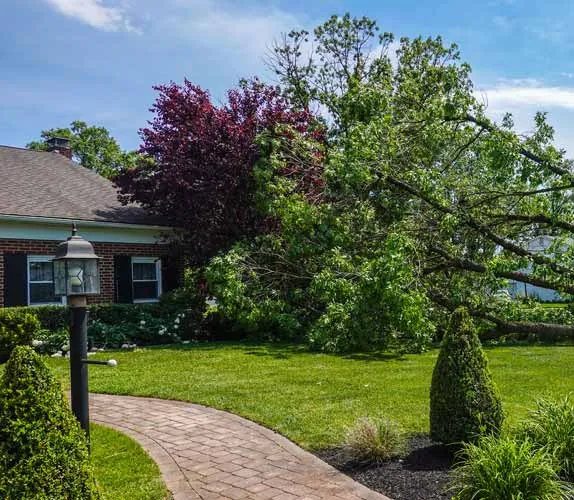 Storm Damage Repair in Trumbull by JP Maguire Associates in Connecticut